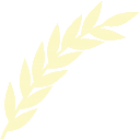 Ikona